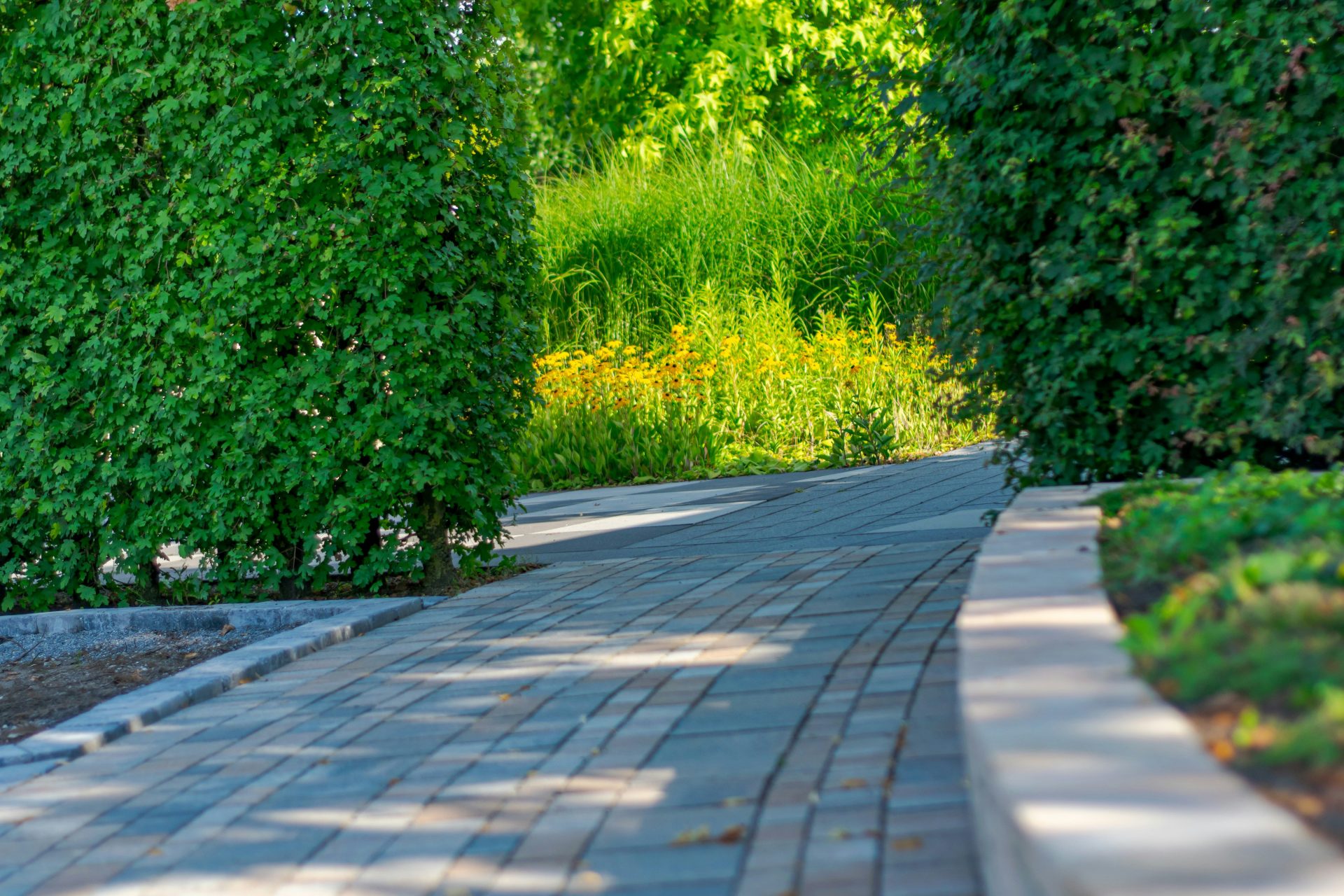 Gepflasterter Ziegelweg, der sich durch einen sattgrünen Garten schlängelt.